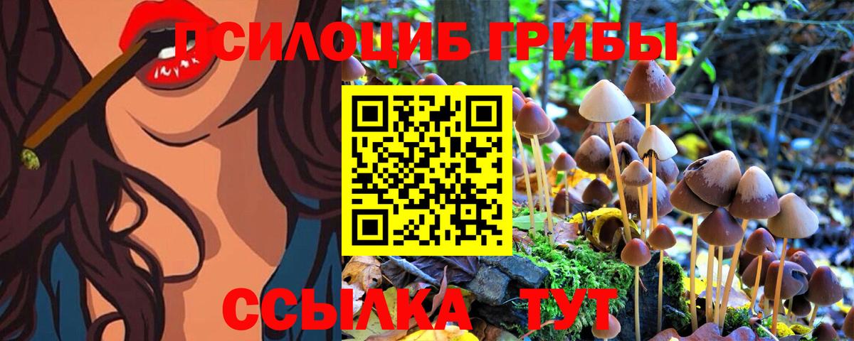Галлюциногенные грибы прущие грибы Губкин